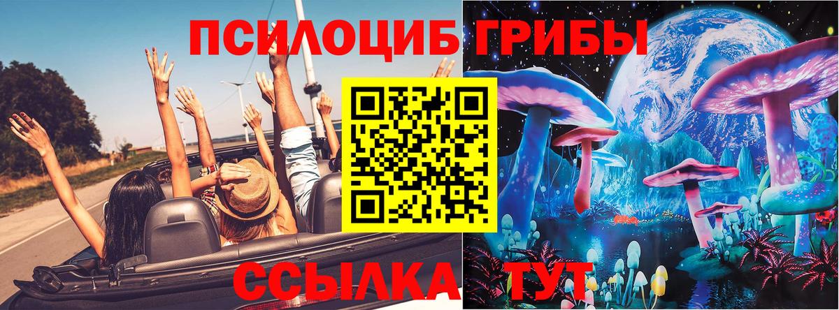Псилоцибиновые грибы Psilocybine cubensis Касимов