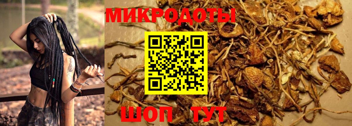 Галлюциногенные грибы Cubensis  Вход с VPN  Касимов 