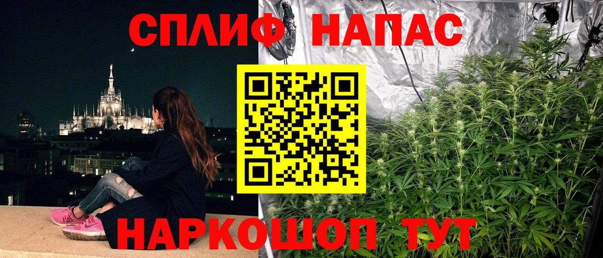 Конопля конопля Касимов